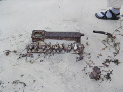SANY0277.JPG