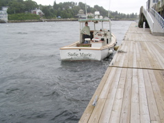 SANY0273.JPG