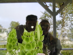SANY0272.JPG