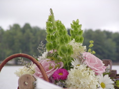 SANY0263.JPG