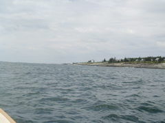 SANY0455.JPG