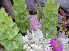 SANY0257.JPG
