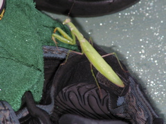 SANY0254.JPG