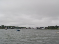 SANY0247.JPG