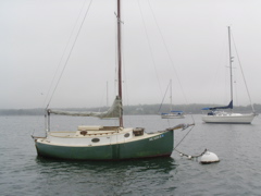 SANY0242.JPG