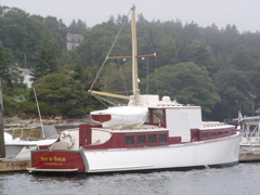 SANY0241.JPG