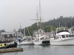 SANY0240.JPG