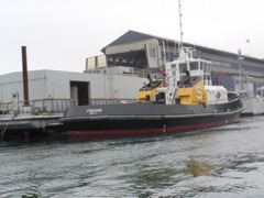 SANY0239.JPG