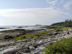 SANY0453.JPG