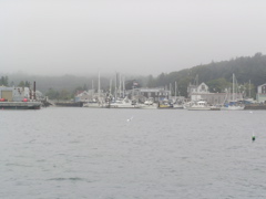 SANY0236.JPG