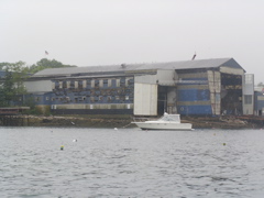 SANY0235.JPG