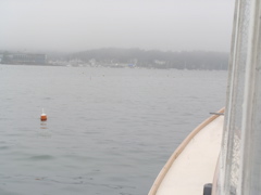 SANY0233.JPG