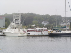 SANY0231.JPG