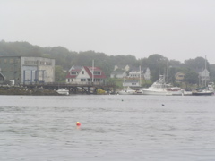 SANY0230.JPG