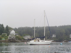 SANY0229.JPG