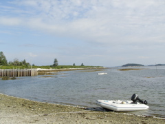 SANY0452.JPG