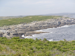 SANY0220.JPG
