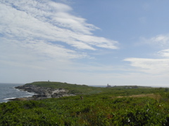 SANY0218.JPG