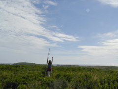 SANY0217.JPG