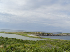 SANY0216.JPG
