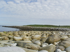 SANY0215.JPG