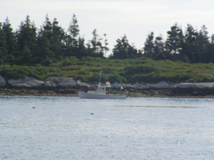 SANY0451.JPG