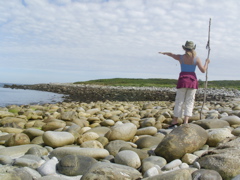 SANY0213.JPG