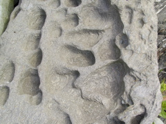 SANY0209.JPG