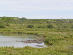 SANY0208.JPG