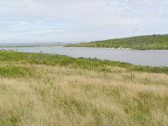 SANY0207.JPG