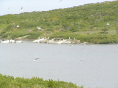SANY0206.JPG