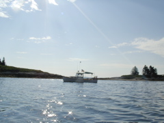 SANY0450.JPG