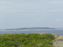 SANY0202.JPG