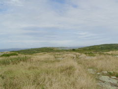 SANY0201.JPG