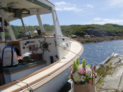 SANY0192.JPG