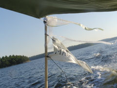 SANY0186.JPG