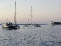 SANY0448.JPG