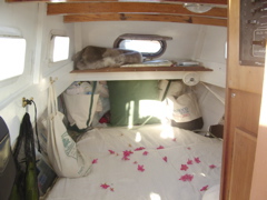 SANY0180.JPG