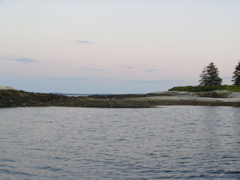 SANY0446.JPG