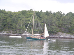 SANY0474.JPG