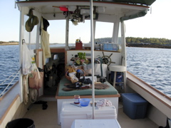 SANY0443.JPG