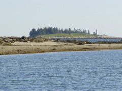 SANY0441.JPG