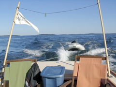 SANY0439.JPG