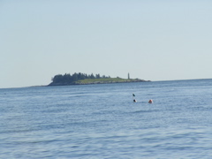 SANY0436.JPG
