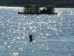 SANY0430.JPG