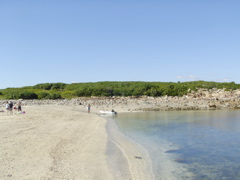SANY0428.JPG