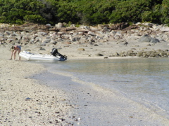 SANY0427.JPG