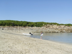 SANY0424.JPG
