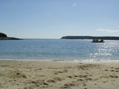 SANY0423.JPG