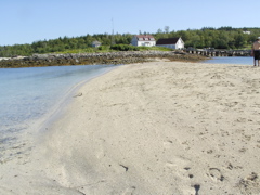 SANY0421.JPG